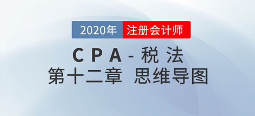 2020年注会 税法 第十二章思维导图及自测习题